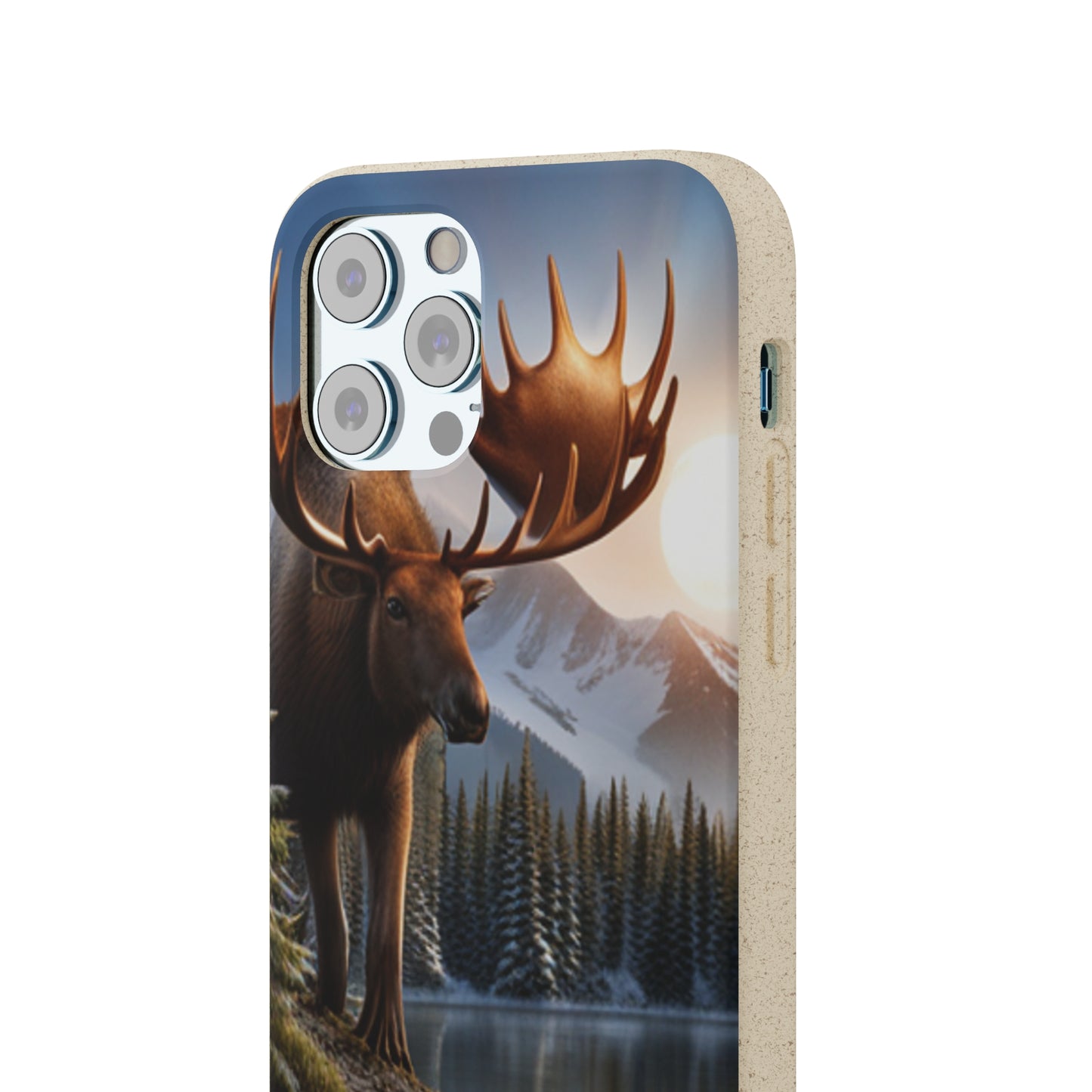 Sustainable Phone Cases: Plastic-Free & Eco-Conscious