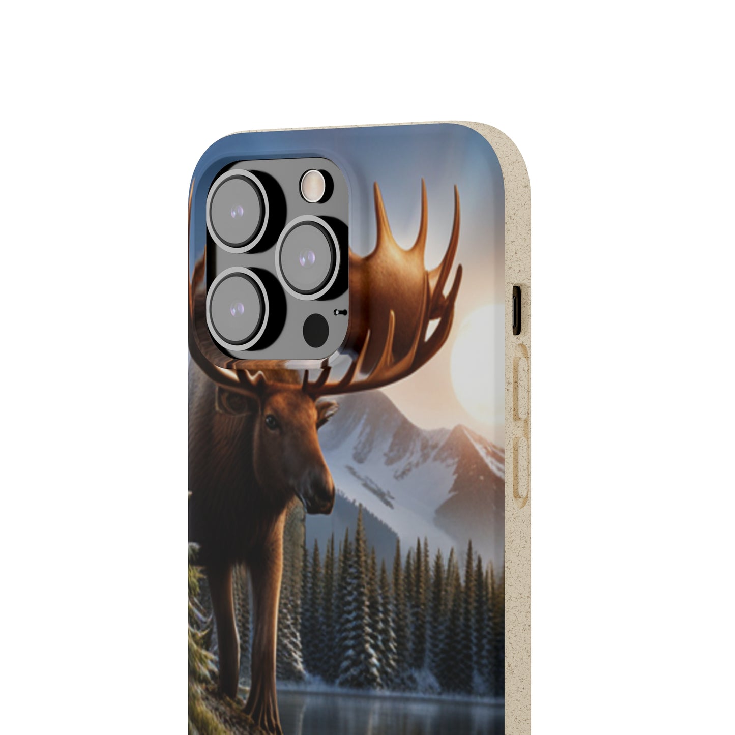 Sustainable Phone Cases: Plastic-Free & Eco-Conscious