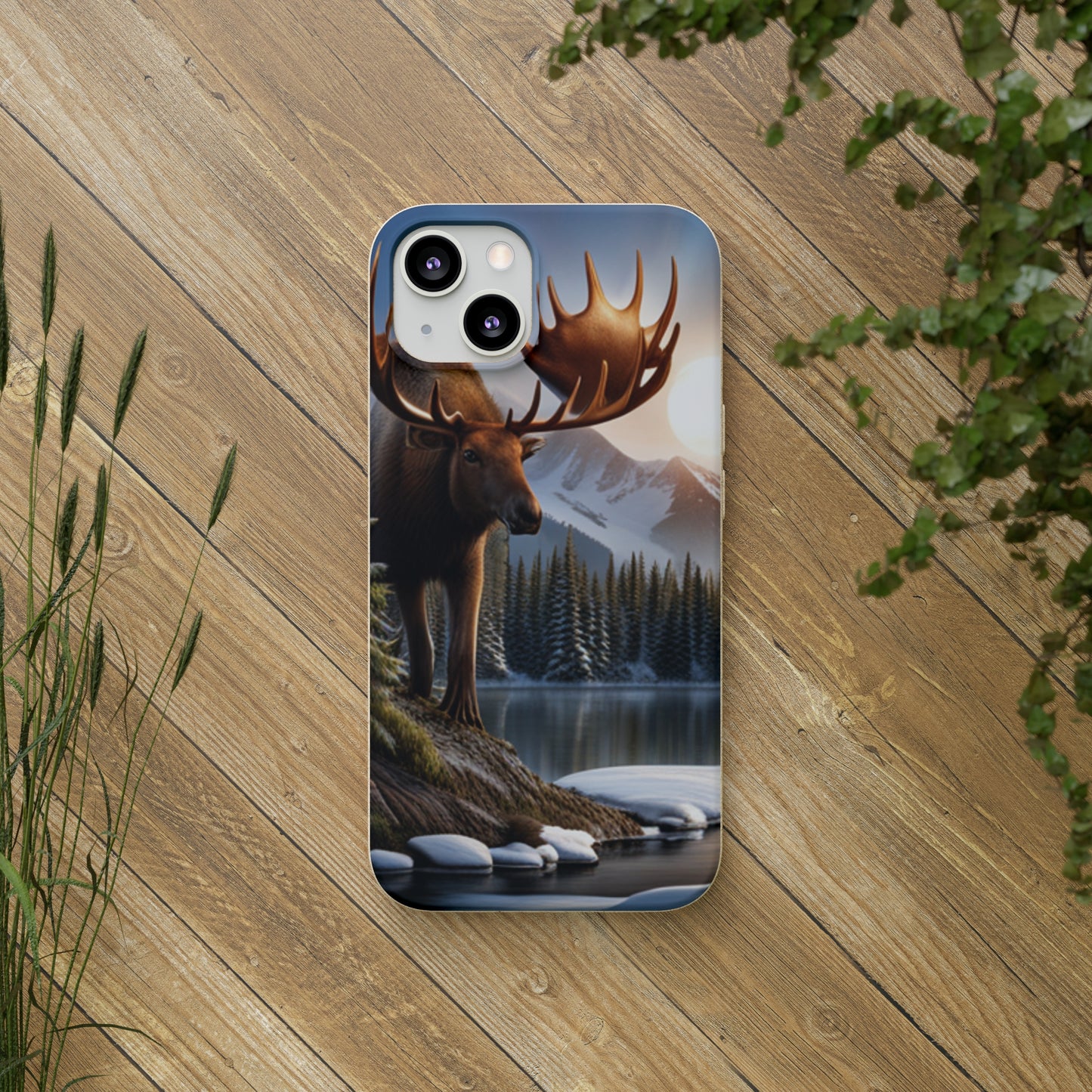 Sustainable Phone Cases: Plastic-Free & Eco-Conscious